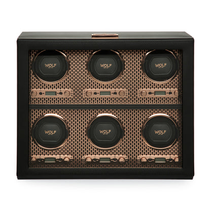 Axis 6 Piece Watch Winder